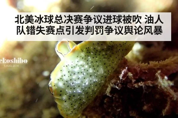 北美冰球总决赛争议进球被吹 油人队错失赛点引发判罚争议舆论风暴